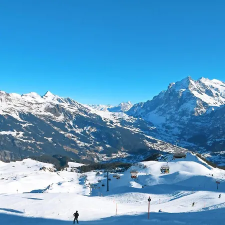 Hirsch By Interhome Grindelwald